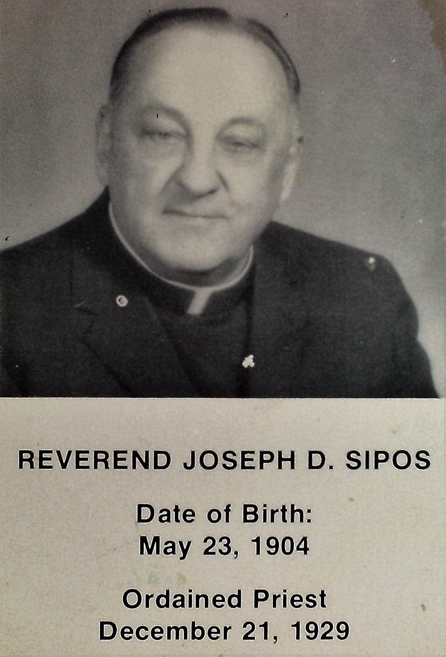 Sipos D. József